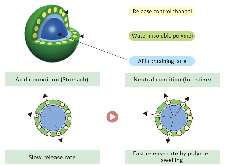 API release from granules is controlled slow in acidic to accelerate in neutral
